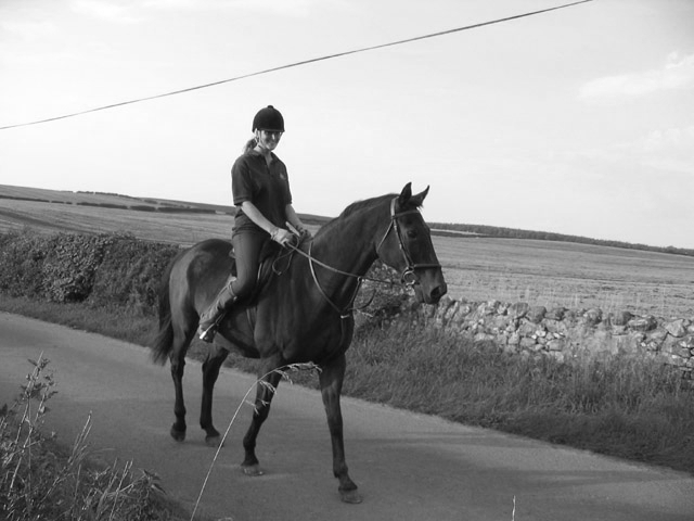 Horse-ing around